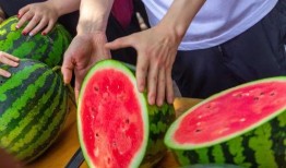 吃瓜长清大学体育生